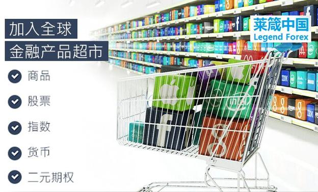 上海莱箴商务信息咨询 专业赋能，助力企业行稳致远